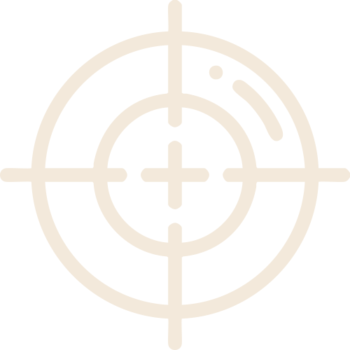 PRECISION ICON